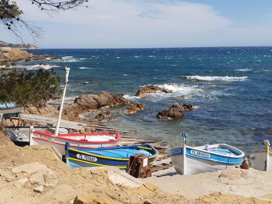Les Geraniums, Bel Appartement Renove, Proche Plage Et Commerces La Seyne-sur-Mer Eksteriør billede