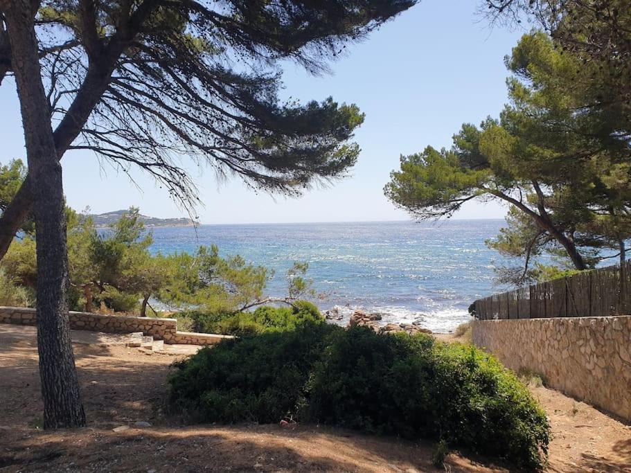 Les Geraniums, Bel Appartement Renove, Proche Plage Et Commerces La Seyne-sur-Mer Eksteriør billede