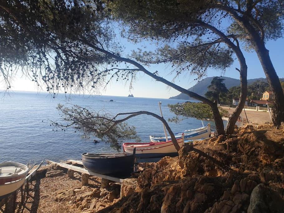 Les Geraniums, Bel Appartement Renove, Proche Plage Et Commerces La Seyne-sur-Mer Eksteriør billede